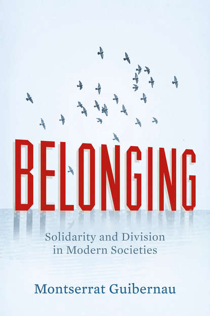 Скачать книгу Belonging. Solidarity and Division in Modern Societies