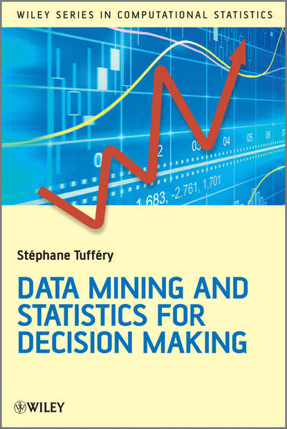Скачать книгу Data Mining and Statistics for Decision Making