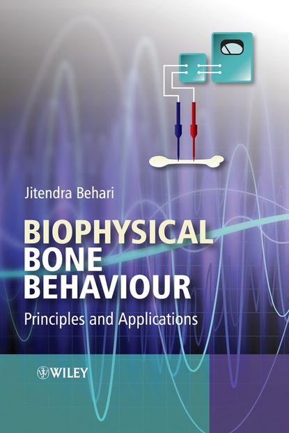 Скачать книгу Biophysical Bone Behaviour. Principles and Applications