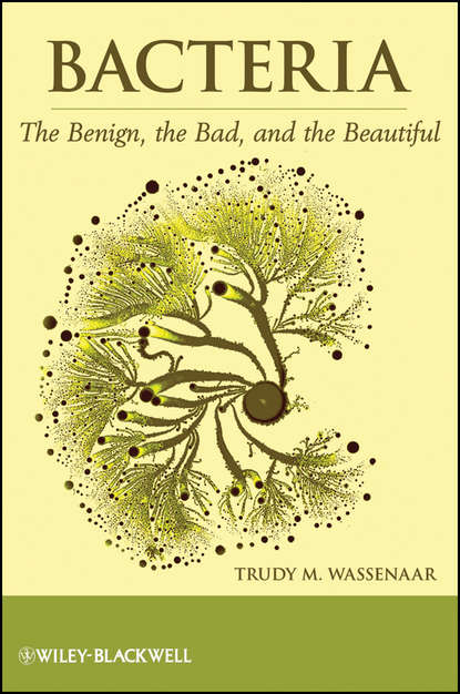 Bacteria. The Benign, the Bad, and the Beautiful