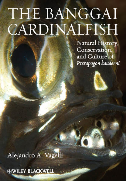 Скачать книгу The Banggai Cardinalfish. Natural History, Conservation, and Culture of Pterapogon kauderni