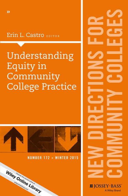 Скачать книгу Understanding Equity in Community College Practice. New Directions for Community Colleges, Number 172