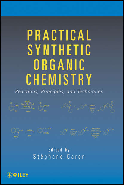 Скачать книгу Practical Synthetic Organic Chemistry. Reactions, Principles, and Techniques