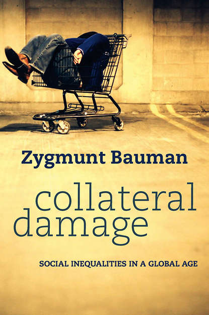 Скачать книгу Collateral Damage. Social Inequalities in a Global Age