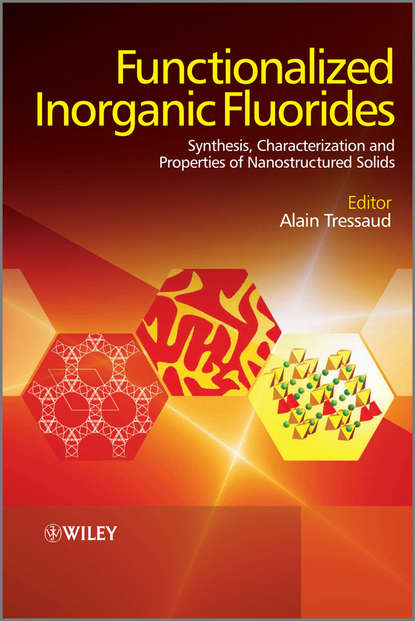 Скачать книгу Functionalized Inorganic Fluorides. Synthesis, Characterization and Properties of Nanostructured Solids