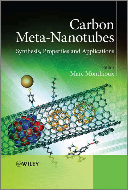 Скачать книгу Carbon Meta-Nanotubes. Synthesis, Properties and Applications