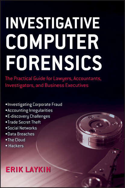 Скачать книгу Investigative Computer Forensics. The Practical Guide for Lawyers, Accountants, Investigators, and Business Executives