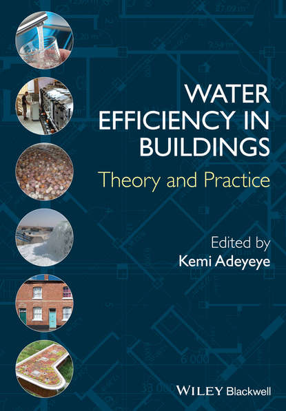 Скачать книгу Water Efficiency in Buildings. Theory and Practice