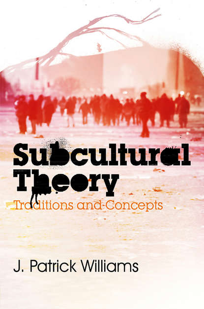 Скачать книгу Subcultural Theory. Traditions and Concepts