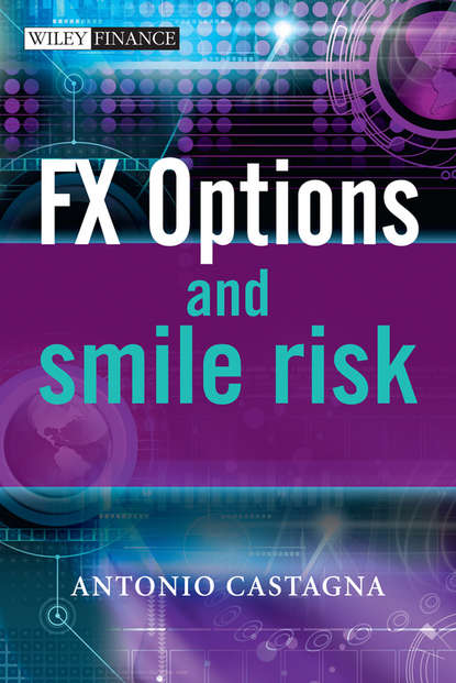 Скачать книгу FX Options and Smile Risk