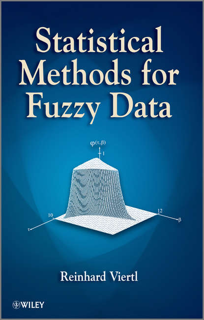 Скачать книгу Statistical Methods for Fuzzy Data