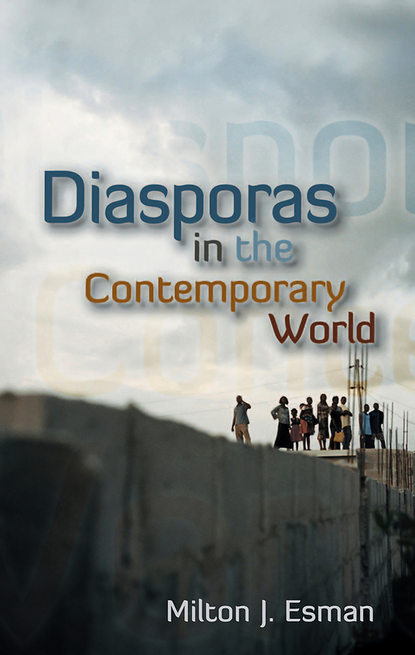 Скачать книгу Diasporas in the Contemporary World