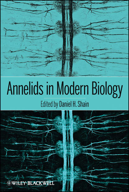 Скачать книгу Annelids in Modern Biology