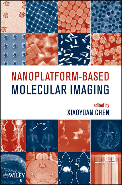 Скачать книгу Nanoplatform-Based Molecular Imaging