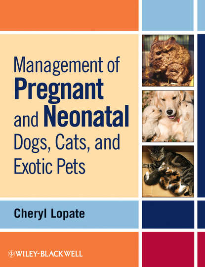 Скачать книгу Management of Pregnant and Neonatal Dogs, Cats, and Exotic Pets
