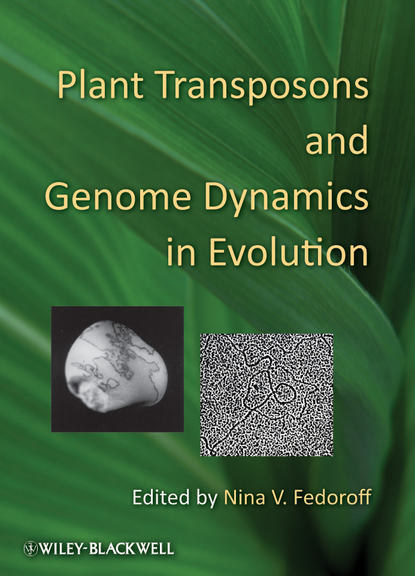 Скачать книгу Plant Transposons and Genome Dynamics in Evolution