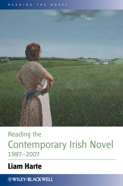 Скачать книгу Reading the Contemporary Irish Novel 1987-2007