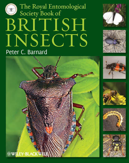 Скачать книгу The Royal Entomological Society Book of British Insects