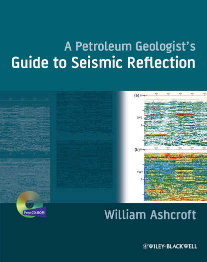 Скачать книгу A Petroleum Geologist's Guide to Seismic Reflection