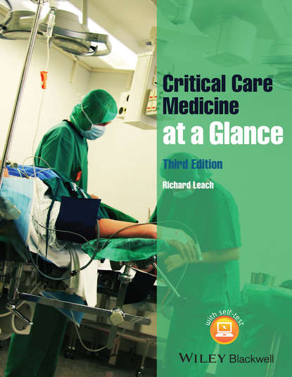 Скачать книгу Critical Care Medicine at a Glance