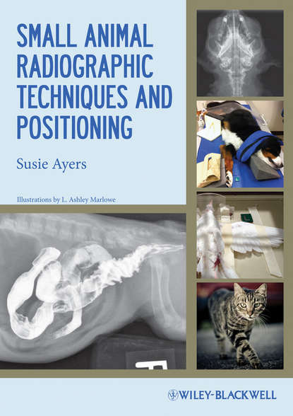Скачать книгу Small Animal Radiographic Techniques and Positioning