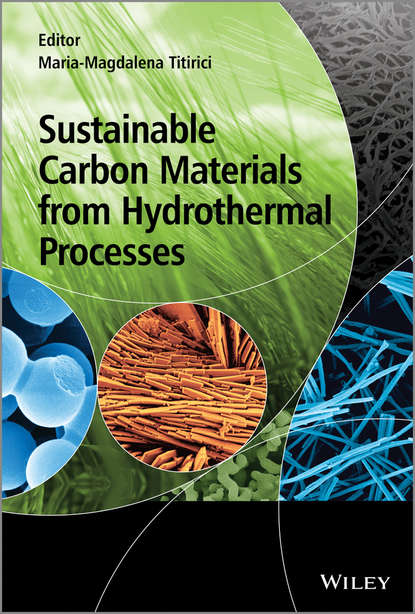 Скачать книгу Sustainable Carbon Materials from Hydrothermal Processes