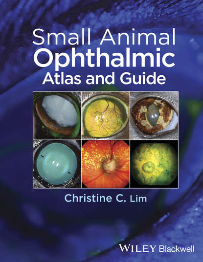Скачать книгу Small Animal Ophthalmic Atlas and Guide