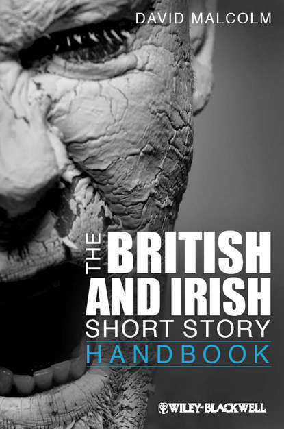 Скачать книгу The British and Irish Short Story Handbook