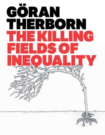 Скачать книгу The Killing Fields of Inequality