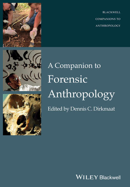 Скачать книгу A Companion to Forensic Anthropology