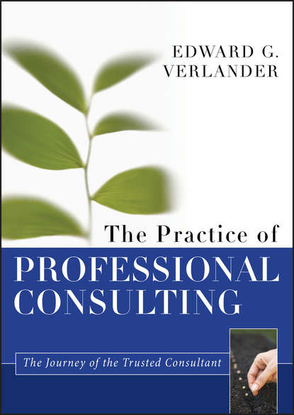 Скачать книгу The Practice of Professional Consulting