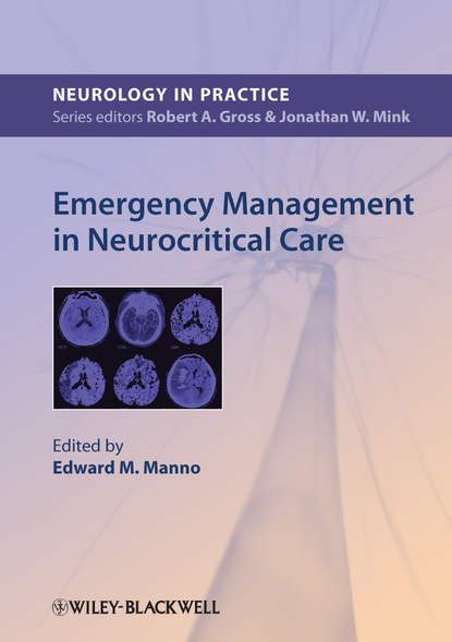 Скачать книгу Emergency Management in Neurocritical Care