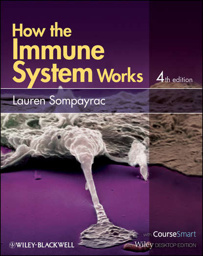 Скачать книгу How the Immune System Works