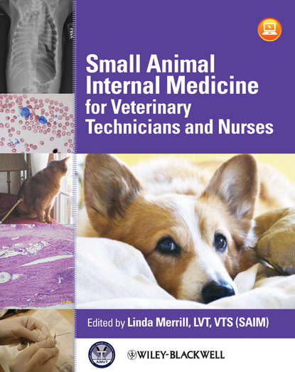 Скачать книгу Small Animal Internal Medicine for Veterinary Technicians and Nurses