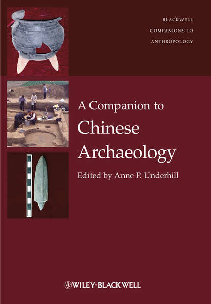 Скачать книгу A Companion to Chinese Archaeology