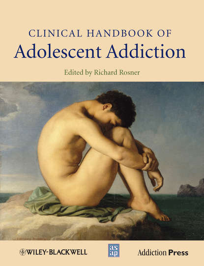 Скачать книгу Clinical Handbook of Adolescent Addiction