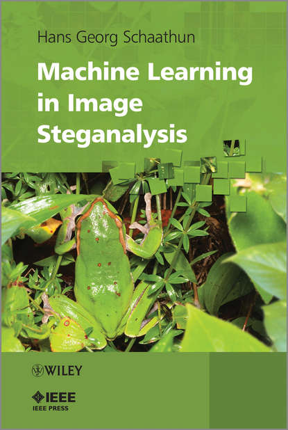 Скачать книгу Machine Learning in Image Steganalysis