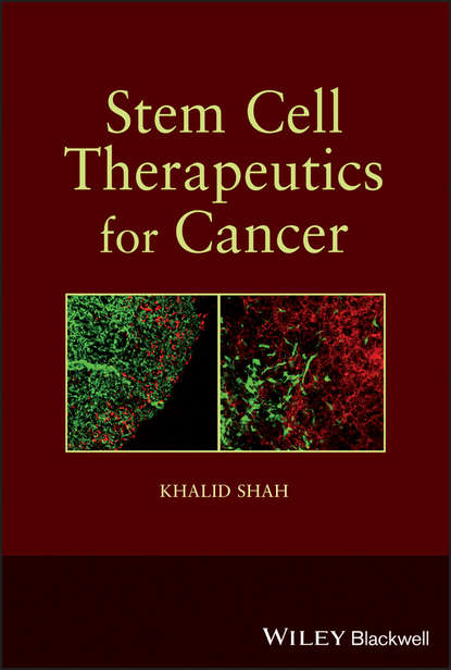 Скачать книгу Stem Cell Therapeutics for Cancer