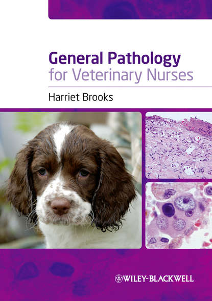 Скачать книгу General Pathology for Veterinary Nurses