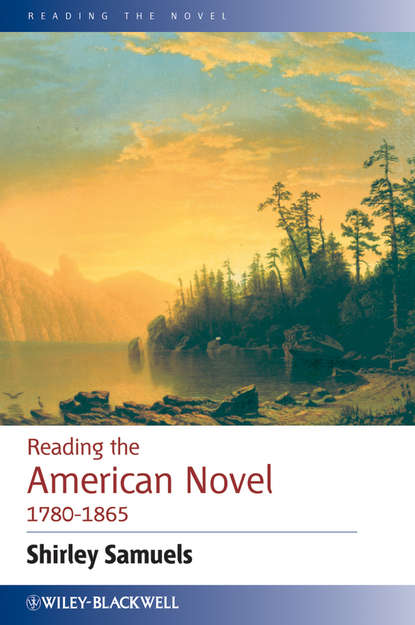 Скачать книгу Reading the American Novel 1780 - 1865