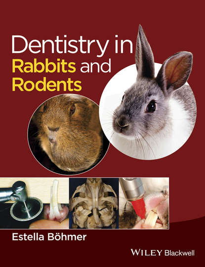 Скачать книгу Dentistry in Rabbits and Rodents