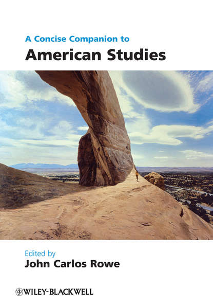 Скачать книгу A Concise Companion to American Studies