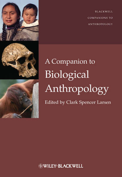 Скачать книгу A Companion to Biological Anthropology