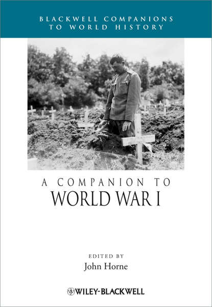 Скачать книгу A Companion to World War I