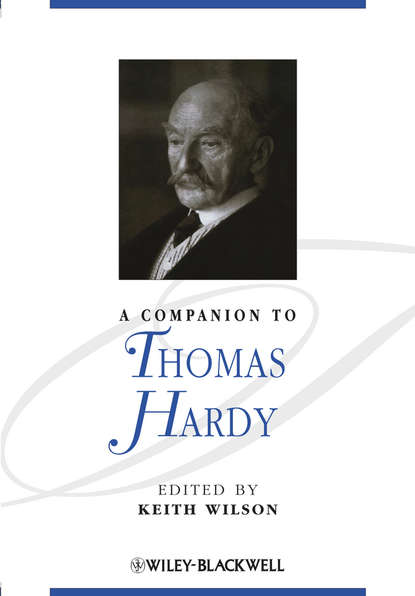 Скачать книгу A Companion to Thomas Hardy