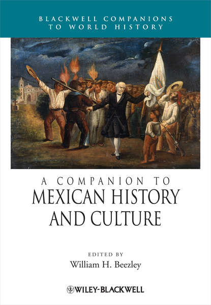 Скачать книгу A Companion to Mexican History and Culture