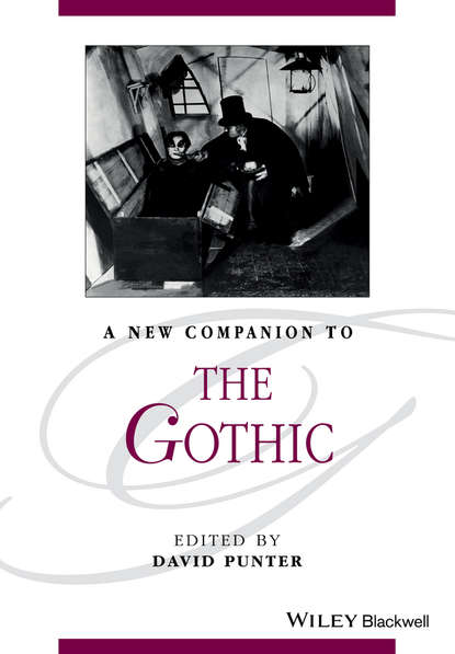 Скачать книгу A New Companion to The Gothic