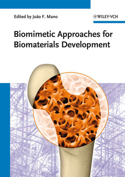 Скачать книгу Biomimetic Approaches for Biomaterials Development