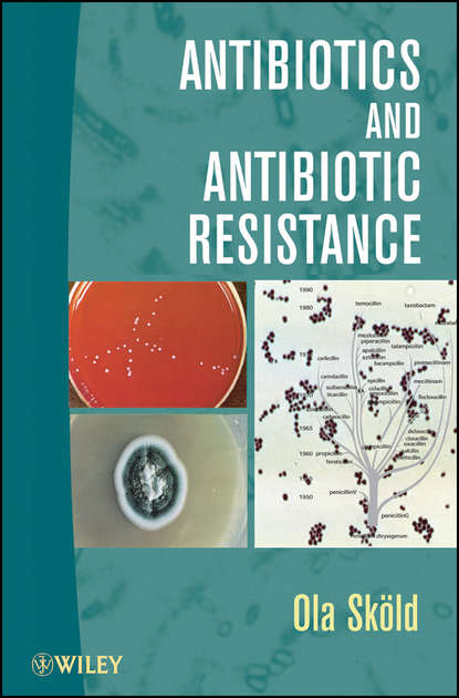 Скачать книгу Antibiotics and Antibiotic Resistance