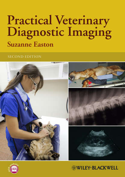 Скачать книгу Practical Veterinary Diagnostic Imaging